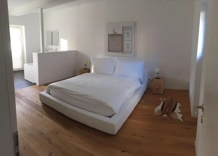 Davos Dreams 达沃斯