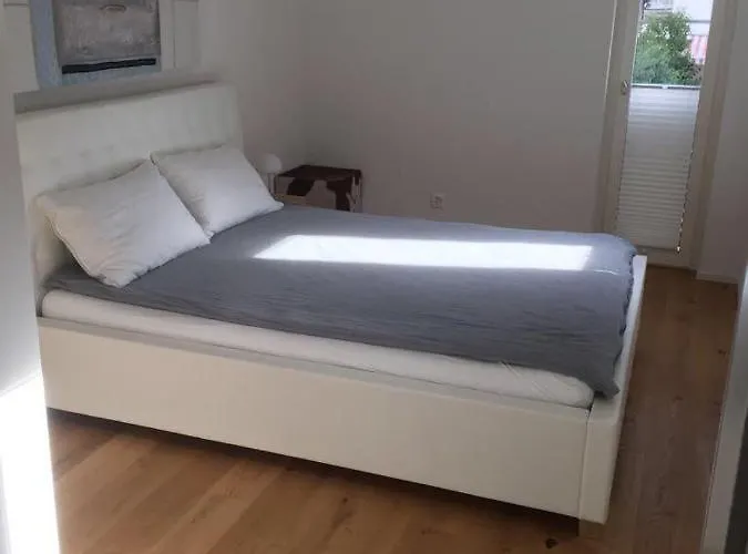 Davos Dreams 达沃斯